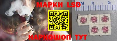 гидропоника Славянск-на-Кубани
