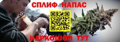 дживик Славгород