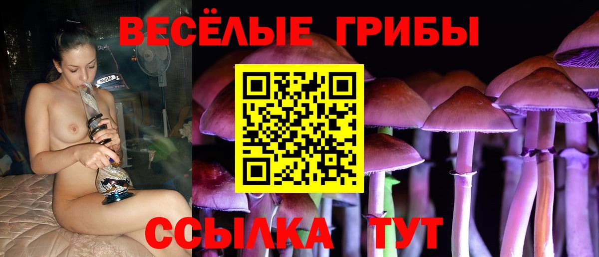 Галлюциногенные грибы ЛСД  Вход с VPN  Ноябрьск 